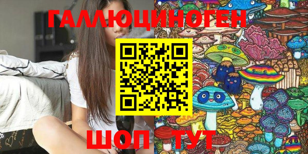 Псилоцибиновые грибы Cubensis Павлово
